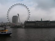 2008_04_23_036_londres_tamise_london_eye