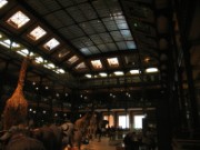 2008_05_02_019_mnhn_expo_abysses