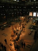 2008_05_02_021_mnhn_expo_abysses