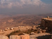 2008_10_27_034_jordanie__mont_nebo