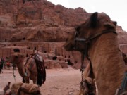 2008_10_28_079_jordanie_petra