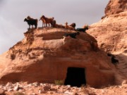 2008_10_28_183_jordanie_petra