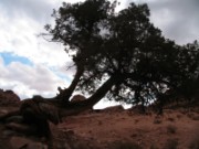 2008_10_28_192_jordanie_petra