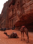 2008_10_29_014_jordanie_petra_le_khasneh