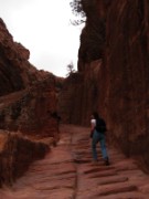 2008_10_29_024_jordanie_petra