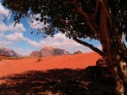 2008_10_30_050_jordanie_wadi_rum