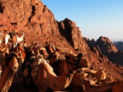 2008_11_01_033_egypte_mont_sinai