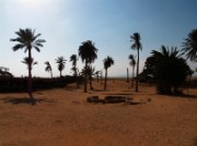 2008_11_02_031_egypte_eyoun_moussa