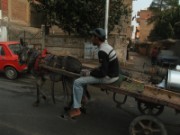2008_11_03_048_egypte_le_caire