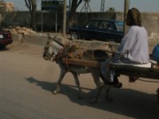 2008_11_04_013_egypte_route_vers_alexandrie