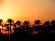 2008_11_04_086_egypte_retour_au_caire