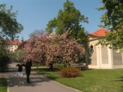 2009_04_22_012_prague_jardins_voyan