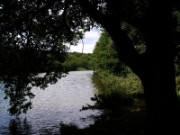 2011_07_24_randonnee_vaux_de_cernay