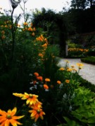 2012_08_04_005_parc_bagatelle