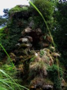 2012_08_04_034_parc_bagatelle