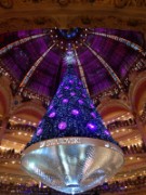 2012_12_26_015_vitrines_noel