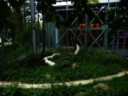 2014_08_22_002_fondation_cartier