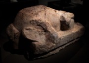 2015_02_04_034_expo_mayas_sacrifie