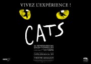 2016_02_03_cats_mogador