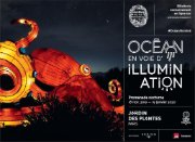 2019_12_26_ocean_illuminations_OK