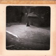 1964_02_grandes_diapos_094_zoo_de_vincennes