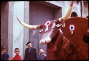 1964_08_raymond_d23_boeuf_de_meze