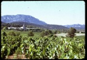 1964_08_raymond_e03_pic_saint_loup