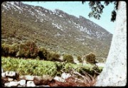 1964_08_raymond_e04_pic_saint_loup
