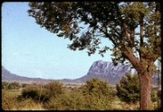 1964_08_raymond_e05_pic_saint_loup
