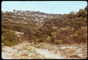 1964_08_raymond_e07_pres_de_st_felix_du_monceau