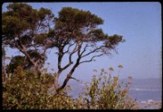 1964_08_raymond_e08_sete_etang_de_thau