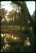 1964_12_raymond_f09_versailles_le_hameau