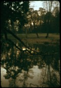 1964_12_raymond_f10_versailles_le_hameau