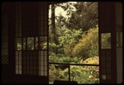 1965_05_raymond_g05_jardin_albert_kahn_boulogne