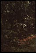 1965_05_raymond_g11_jardin_albert_kahn_boulogne