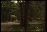 1965_05_raymond_g12_jardin_albert_kahn_boulogne_j_m_d_y_n
