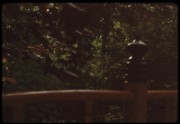 1965_05_raymond_g16_jardin_albert_kahn_boulogne