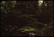 1965_05_raymond_g17_jardin_albert_kahn_boulogne