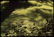 1965_05_raymond_g21_jardin_albert_kahn_boulogne