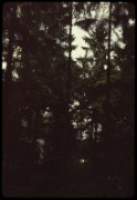 1965_05_raymond_g22_jardin_albert_kahn_boulogne