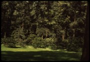 1965_05_raymond_g23_jardin_albert_kahn_boulogne