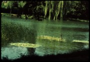 1965_07_raymond_h22_etang_de_ville_d_acray