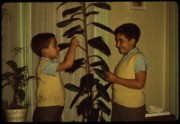 1965_08_raymond_n15_denis_yves_jardinent