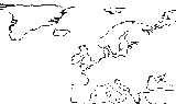 Europe
